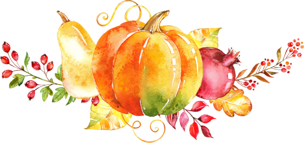 Transparent Watercolor Painting Autumn Pumpkin Superfood Flower for Thanksgiving