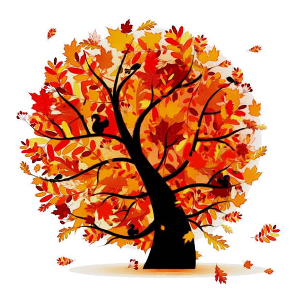 Transparent Thanksgiving Schnell Hancock Pc Lawyer Tree Autumn for Thanksgiving