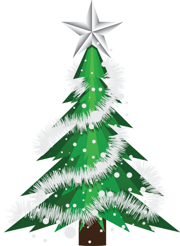 Transparent Christmas Drawing Christmas Ornament Fir Pine Family for Christmas