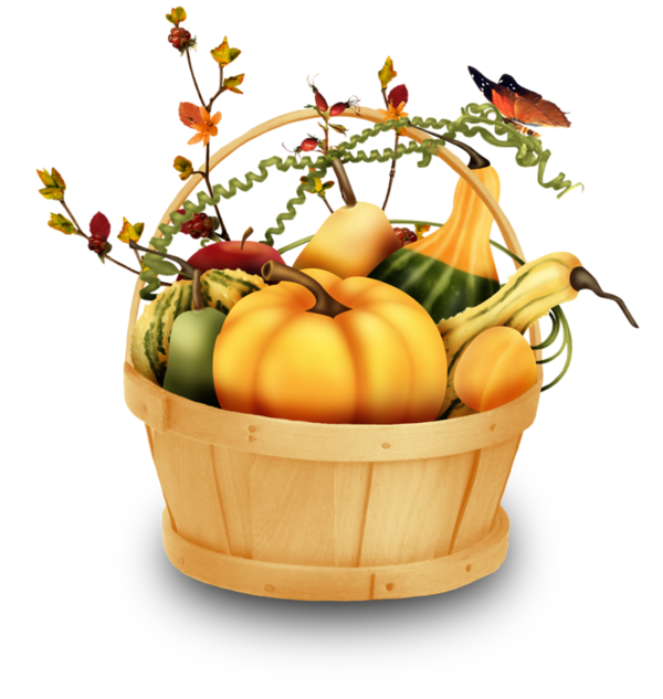 Transparent Pumpkin Calabaza Gourd Natural Foods Fruit for Thanksgiving