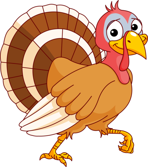 Transparent Turkey Turkey Meat Cartoon Fowl Tail for Thanksgiving