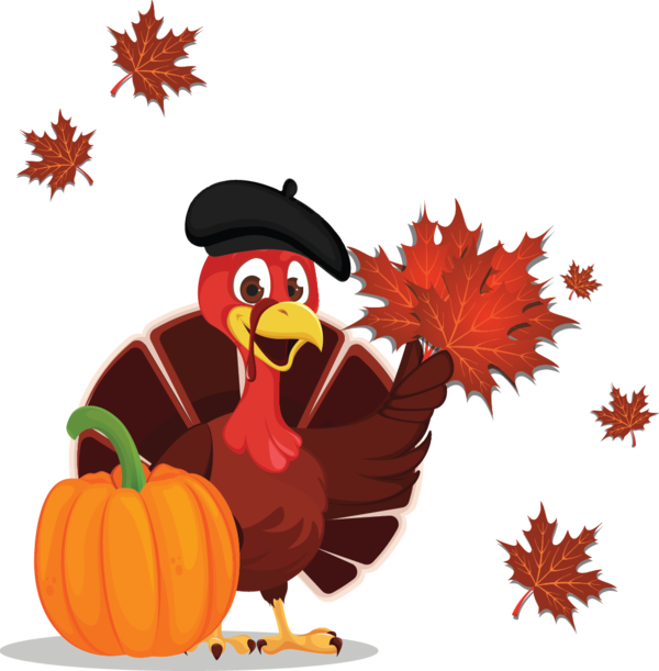 Transparent Thanksgiving Cartoon Thanksgiving Dinner Chicken Bird for Thanksgiving