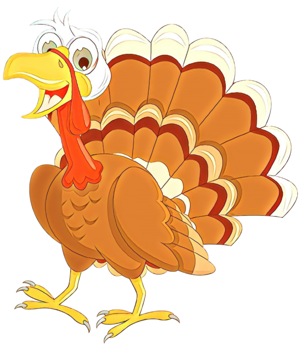 Transparent Black Turkey Turkey Meat Thanksgiving Turkey Bird for Thanksgiving