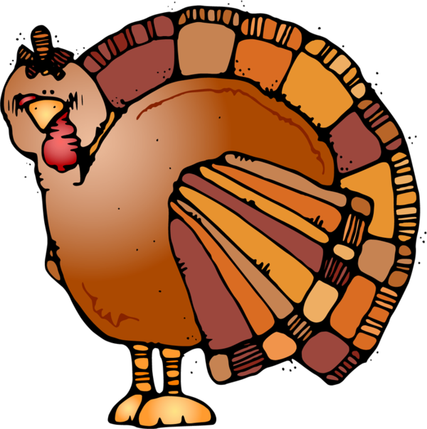 Transparent Thanksgiving Turkey Meat Drawing Turkey Cartoon for Thanksgiving