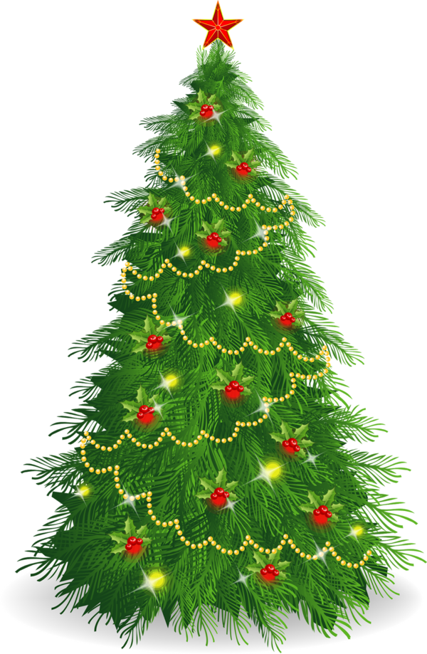 Transparent Christmas Christmas Tree Christmas Ornament Evergreen Fir for Christmas