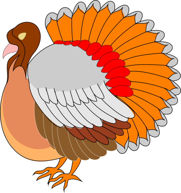 Transparent Turkey Meat Thanksgiving Line Art Bird Tail for Thanksgiving