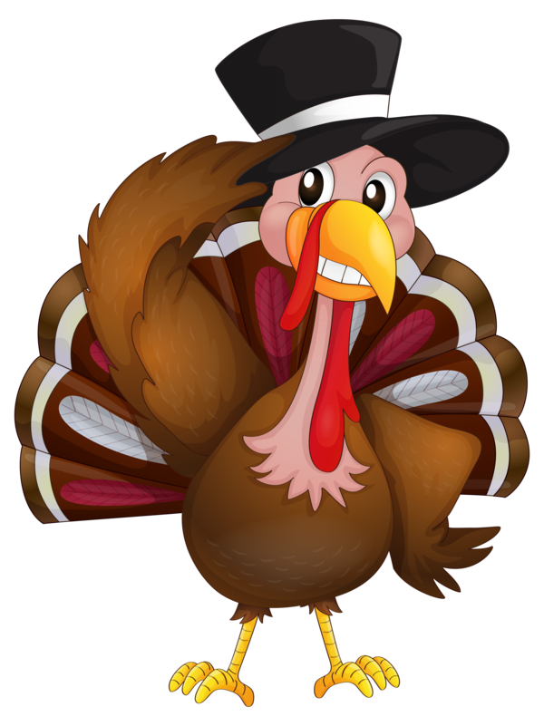 Transparent Turkey Thanksgiving Turkey Meat Flightless Bird Rooster for Thanksgiving