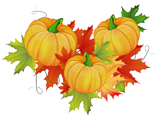 Transparent Jackolantern Gourd Winter Squash Natural Foods Leaf for Thanksgiving