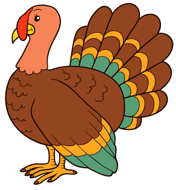 Transparent Turkey Turkey Meat Thanksgiving Beak Bird for Thanksgiving