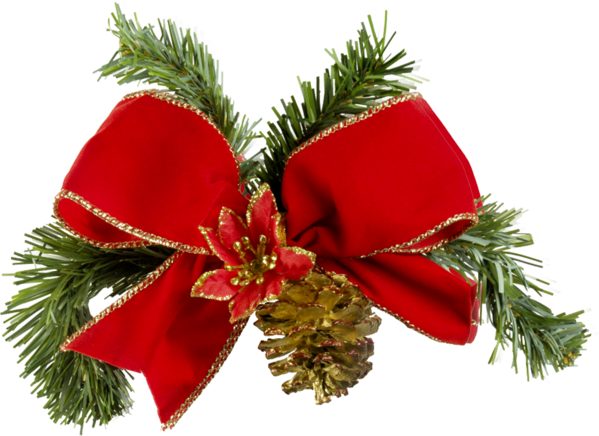 Transparent Christmas Christmas And Holiday Season Santa Claus Evergreen Pine Family for Christmas