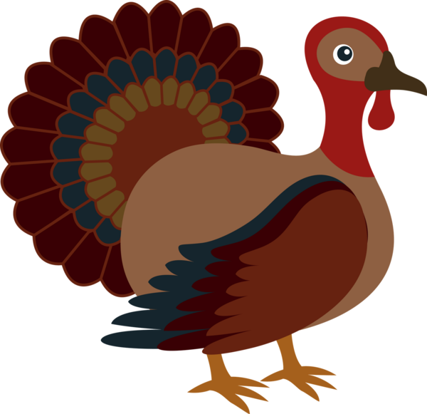Transparent Turkey Thanksgiving Turkey Meat Water Bird Fowl for Thanksgiving