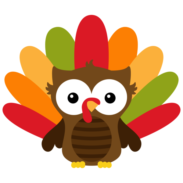 Transparent Owl Bird Thanksgiving Flower for Thanksgiving