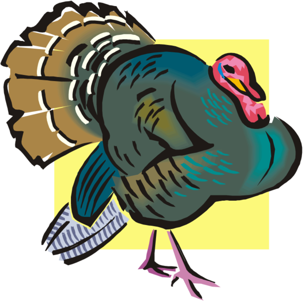 Transparent Turkey Meat Turkey Sticker Beak Bird for Thanksgiving