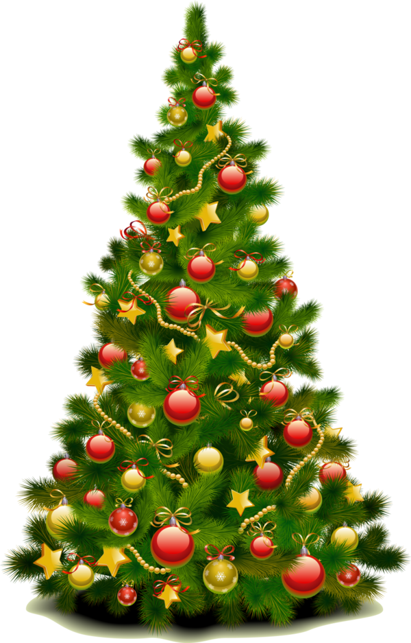 Transparent Christmas Ornament Christmas Christmas Tree Fir Pine Family for Christmas