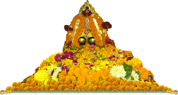 Transparent Naina Devi Temple Devi Tree for Dussehra