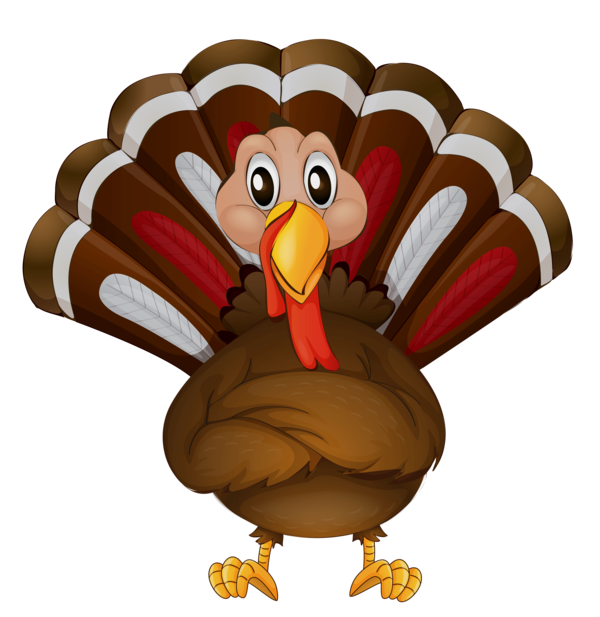 Transparent Wild Turkey Thanksgiving Turkey Meat Turkey Cartoon for Thanksgiving