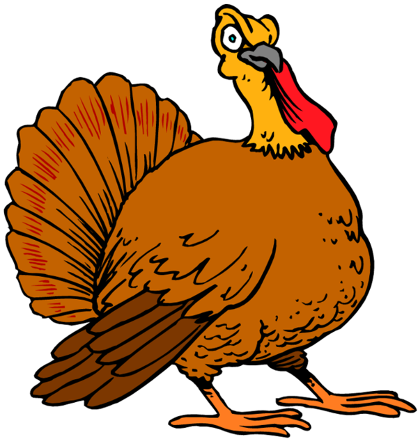 Transparent Thanksgiving
 Turkey
 Wish
 Wildlife Fowl for Thanksgiving