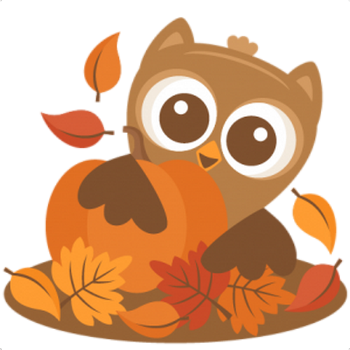 Transparent Owl Autumn Thanksgiving Whiskers for Thanksgiving