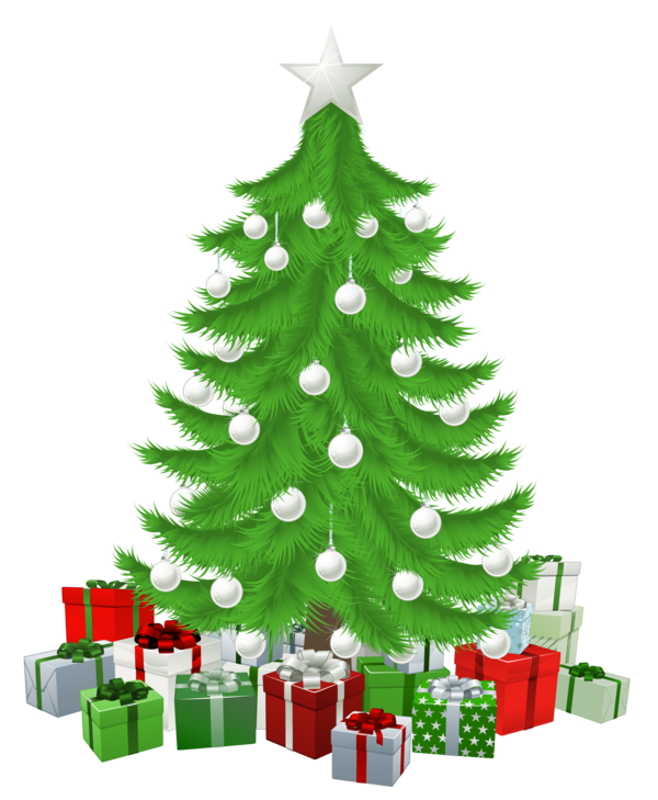 Transparent Christmas Gift Christmas Tree Fir Pine Family for Christmas