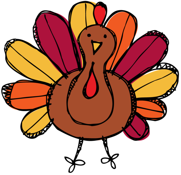 Transparent Turkey Turkey Meat Thanksgiving Flower Food for Thanksgiving