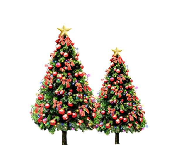 Transparent Christmas Santa Claus Christmas Tree Fir Pine Family for Christmas