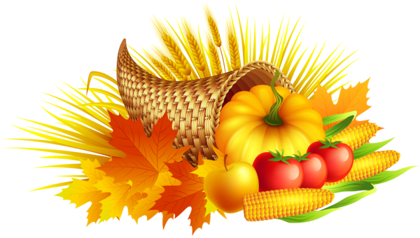 Transparent Thanksgiving Cornucopia Turkey Meat Sunflower Seed Flower for Thanksgiving