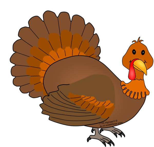 Transparent Turkey Thanksgiving Turkey Meat Bird Feather for Thanksgiving