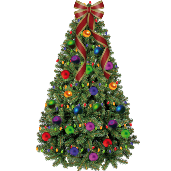 Transparent Candy Cane Christmas Christmas Tree Fir Pine Family for Christmas