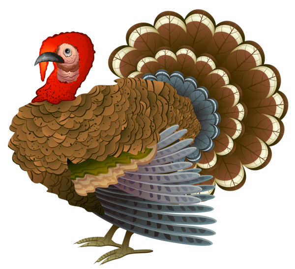 Transparent Turkey Thanksgiving Cornucopia Bird for Thanksgiving