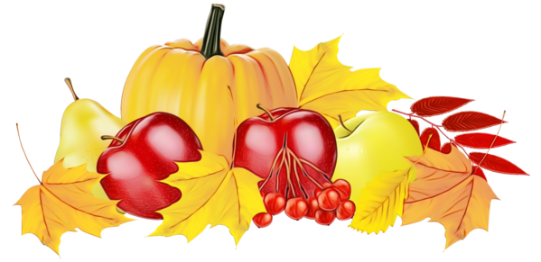 Transparent Logo Autumn Food Natural Foods Leaf for Thanksgiving