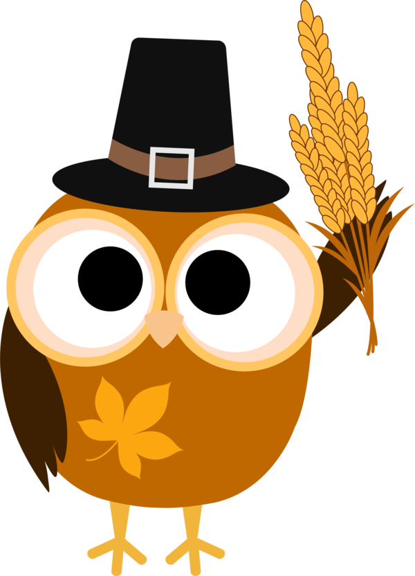 Transparent Thanksgiving Owl Little Owl Eyewear for Thanksgiving