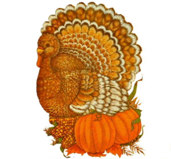 Transparent Thanksgiving Gourdm Flower Cucurbita Chicken for Thanksgiving