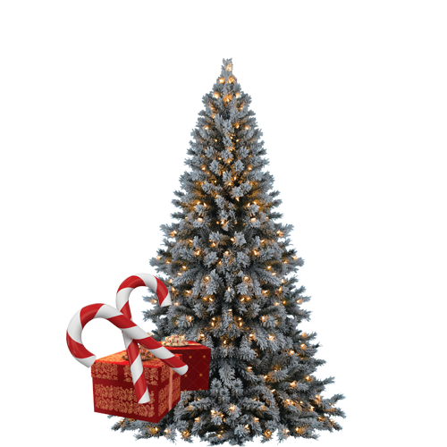 Transparent Christmas Tree Christmas Tree Fir Pine Family for Christmas