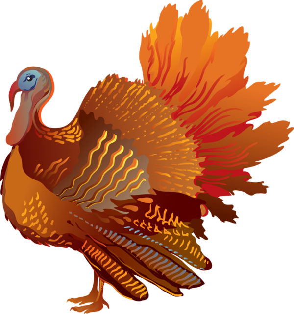 Transparent Turkey Freedom From Want Thanksgiving Rooster for Thanksgiving