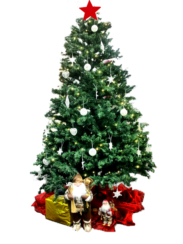 Transparent Christmas Christmas Tree Christmas Gift Bringer Fir Evergreen for Christmas