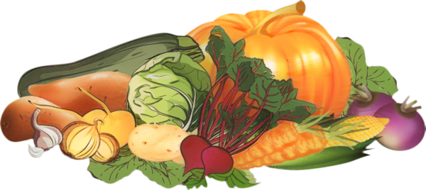 Transparent Vegetable Fruit Pumpkin Natural Foods for Thanksgiving