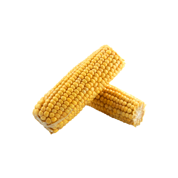 Transparent Corn On The Cob Maize Sweet Corn Corn Kernels for Thanksgiving