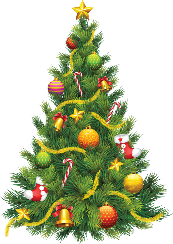 Transparent Christmas Christmas Tree Christmas Ornament Evergreen Pine Family for Christmas