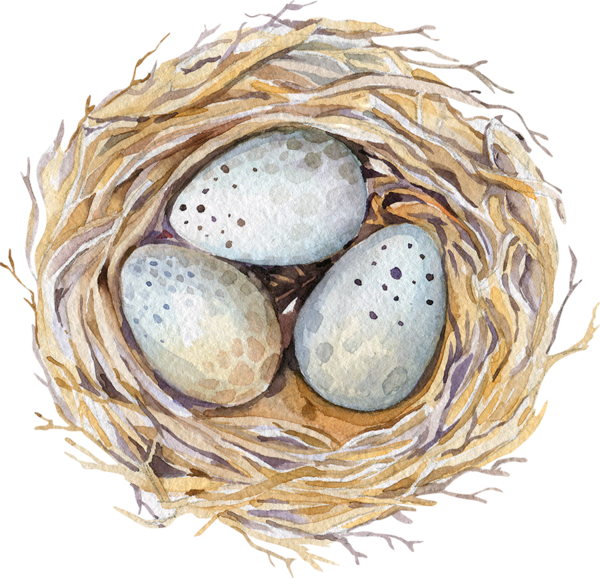 Transparent Watercolor Painting Drawing Easter Egg Nest for Easter