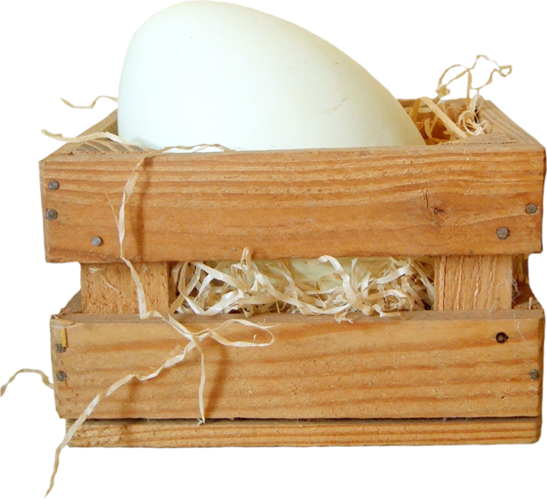 Transparent Duck Egg Wood Box for Easter