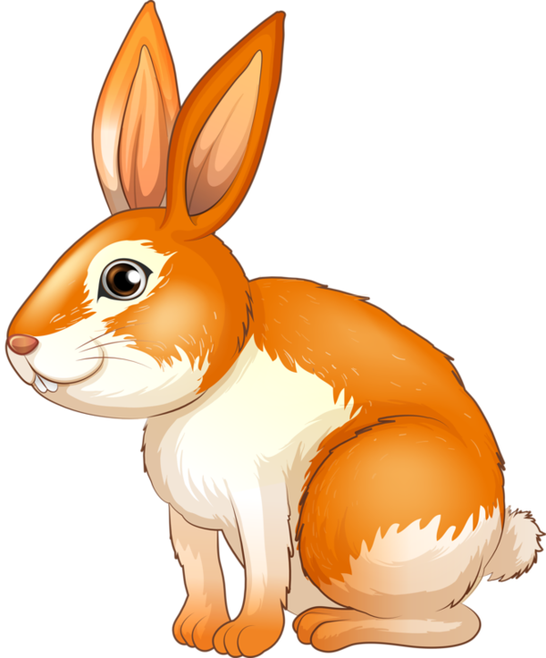 Transparent European Rabbit Rabbit Drawing Whiskers Hare for Easter