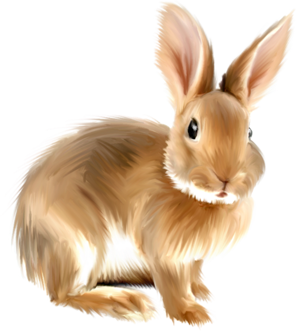 Transparent Easter Bunny European Rabbit Rabbit Fur Hare for Easter
