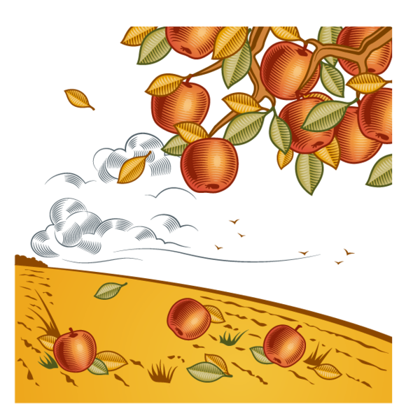 Transparent Harvest Cartoon Farm Food Fruit for Thanksgiving