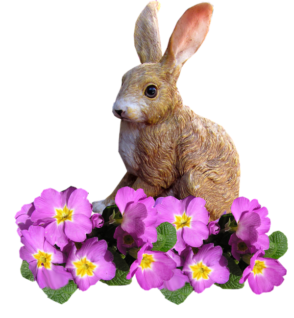 Transparent Nitrogen Cycle Biogeochemical Cycle Nitrogen Fixation Rabbit Easter Bunny for Easter