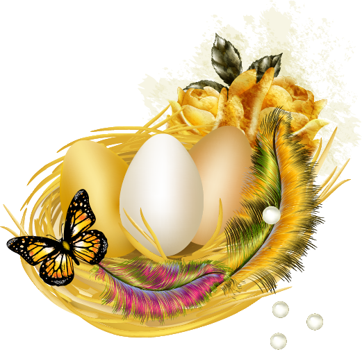 Transparent Bird Bird Nest Nest Yellow Insect for Easter