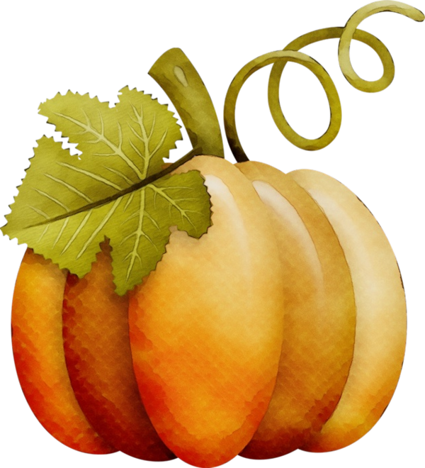 Transparent Squash Autumn Pumpkin Leaf Natural Foods for Thanksgiving