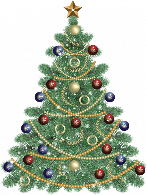Transparent Christmas Tree Christmas Tinsel Fir Pine Family for Christmas