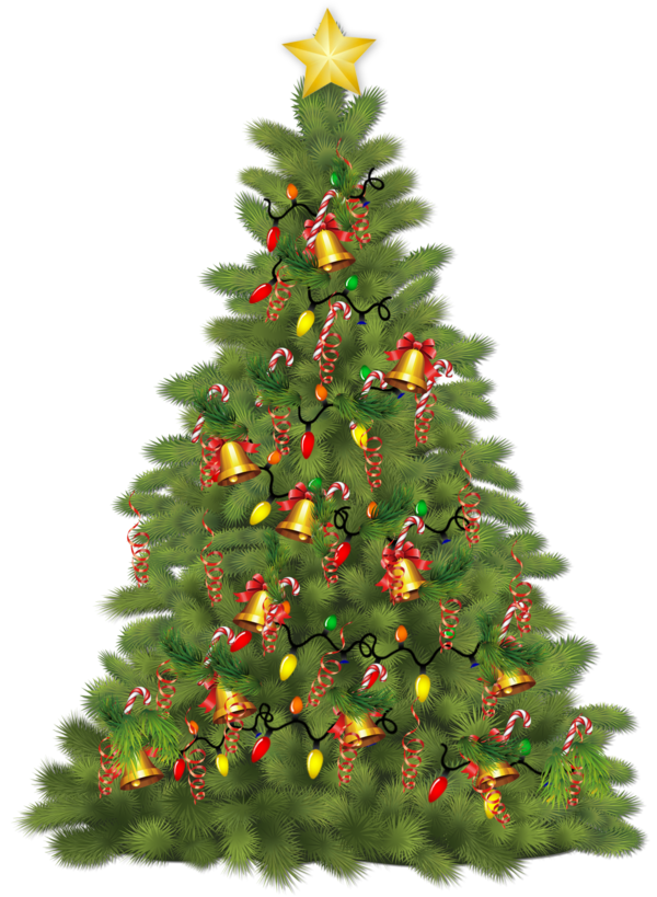 Transparent Christmas Tree Christmas Tree Evergreen Fir for Christmas