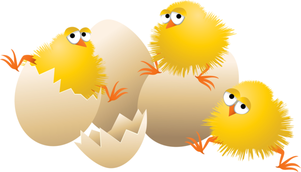 Transparent Chicken Cartoon Comics Beak Yellow for Easter