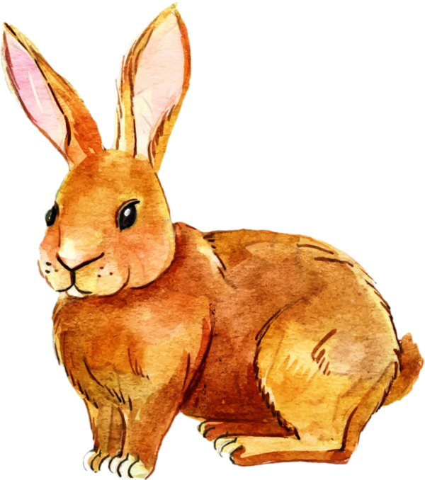 Transparent Hare Rabbit Easter Bunny Rabbits And Hares for Easter